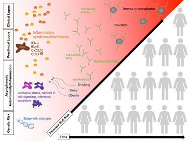 Understanding the Concept of Pre-Clinical Autoimmunity: Prediction and Prevention of Systemic Lupus Erythematosus: Identifying Risk Factors and Developing Strategies Against Disease Development